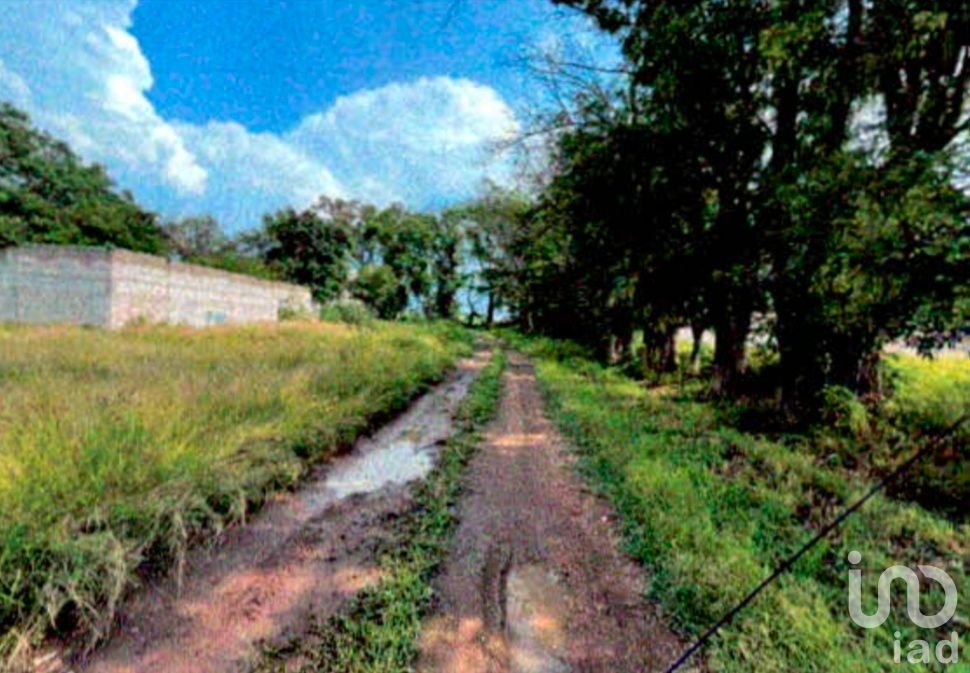 TERRENO EN SANTA MATILDE