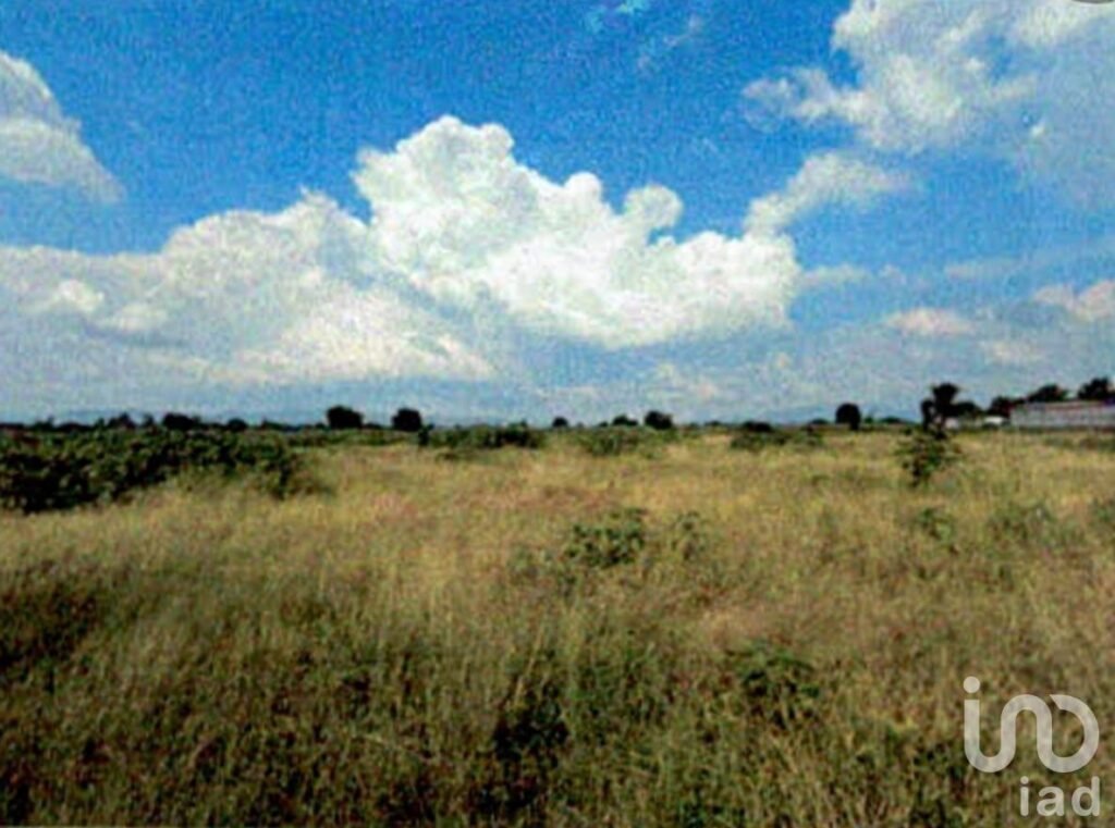 TERRENO EN SANTA MATILDE