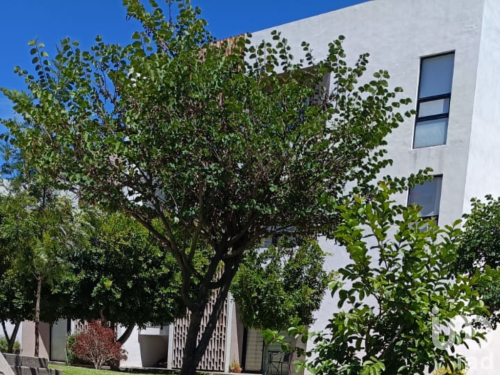 Renta departamento Queretaro San Isidro Juriquilla