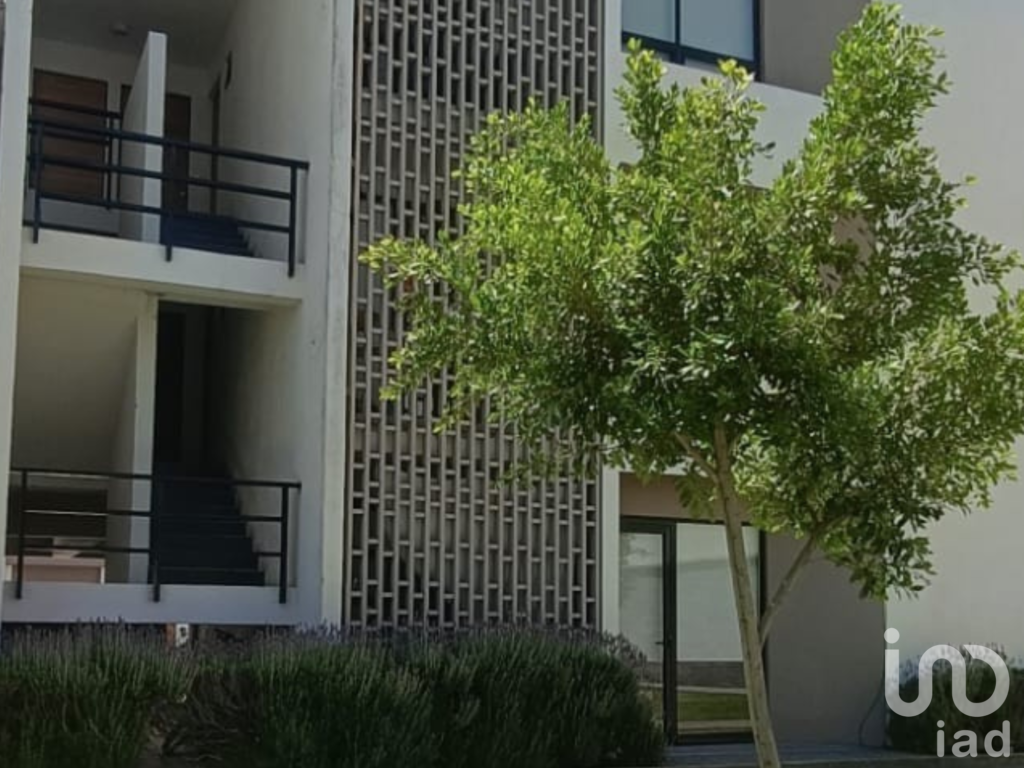 Renta departamento Queretaro San Isidro Juriquilla