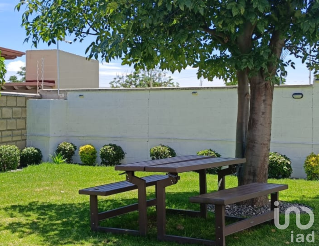 Renta departamento Queretaro San Isidro Juriquilla