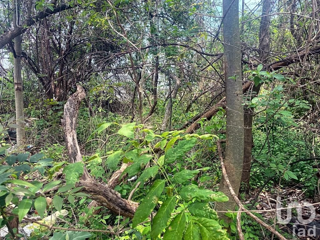 Venta de Terreno, Santa María, Cuernavaca, Zona Norte