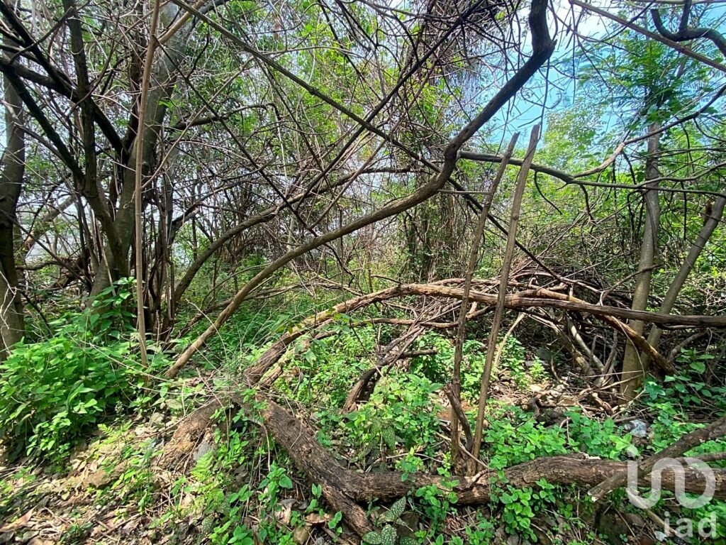 Venta de Terreno, Santa María, Cuernavaca, Zona Norte