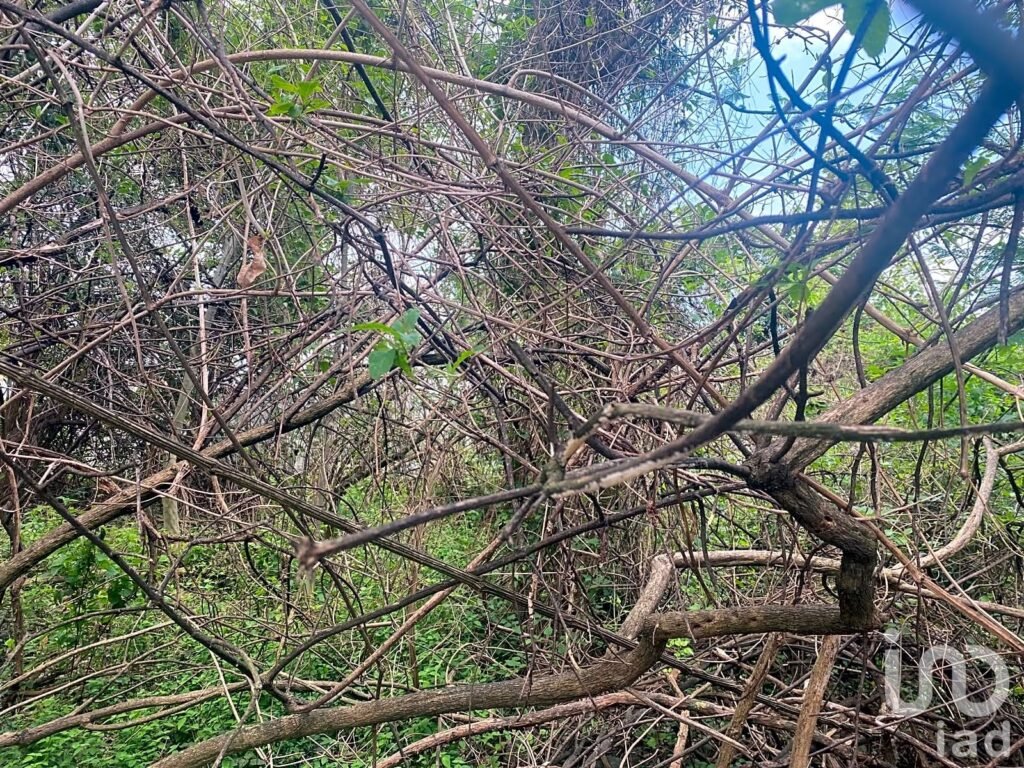 Venta de Terreno, Santa María, Cuernavaca, Zona Norte