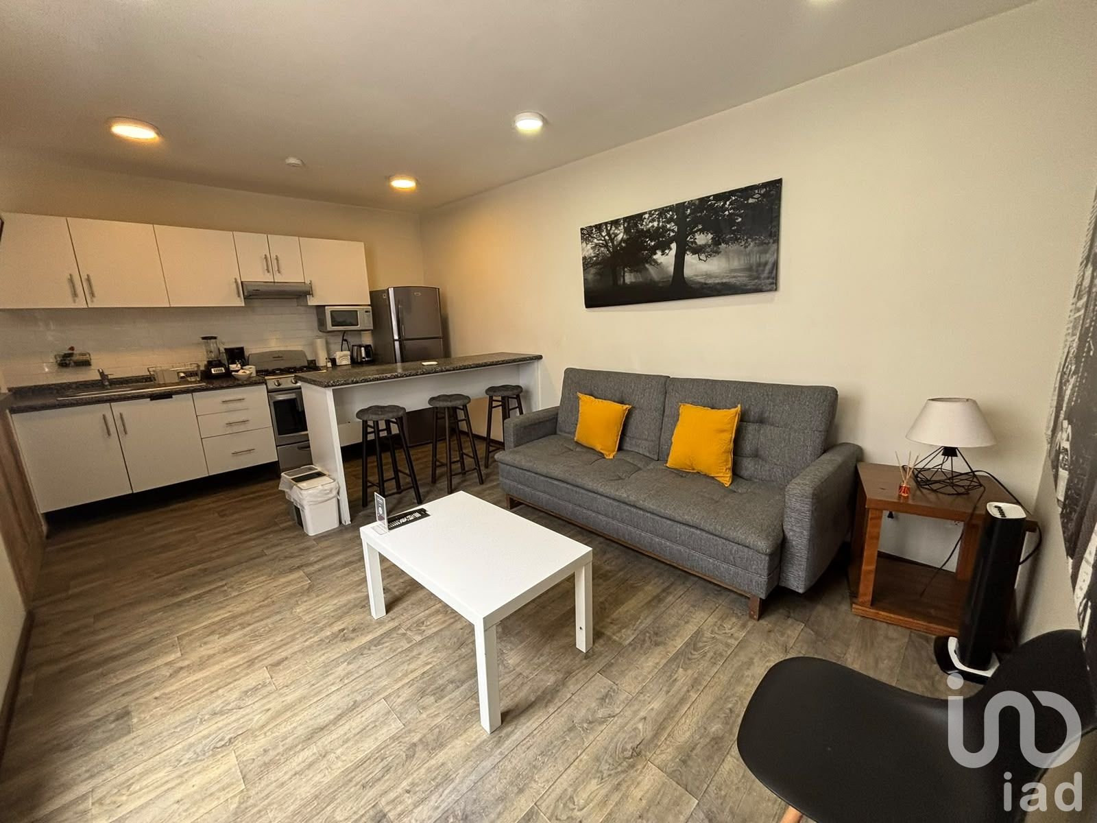 Se renta departamento amueblado con roof garden en Obrero mundial