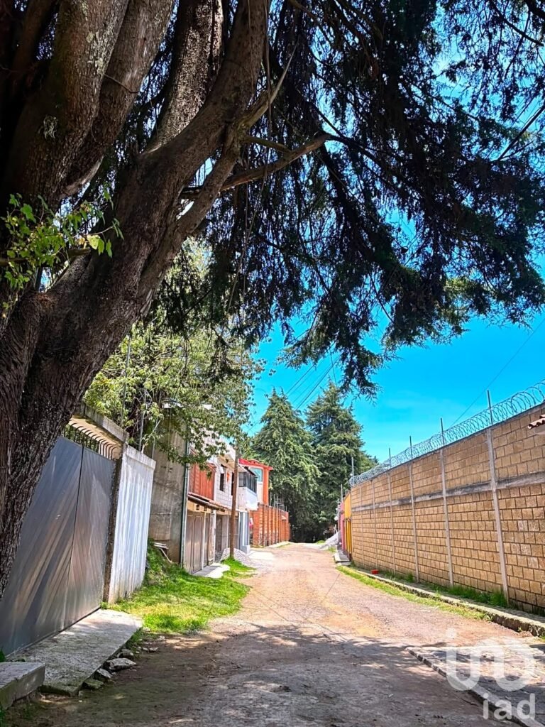 Paradisiaco Terreno en Santo Tomás Ajusco