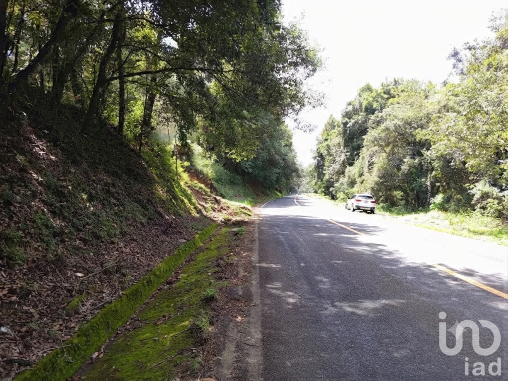 Venta de Terreno a Orilla de la Carretera Federal México Tuxpan. Huauchinango Puebla.