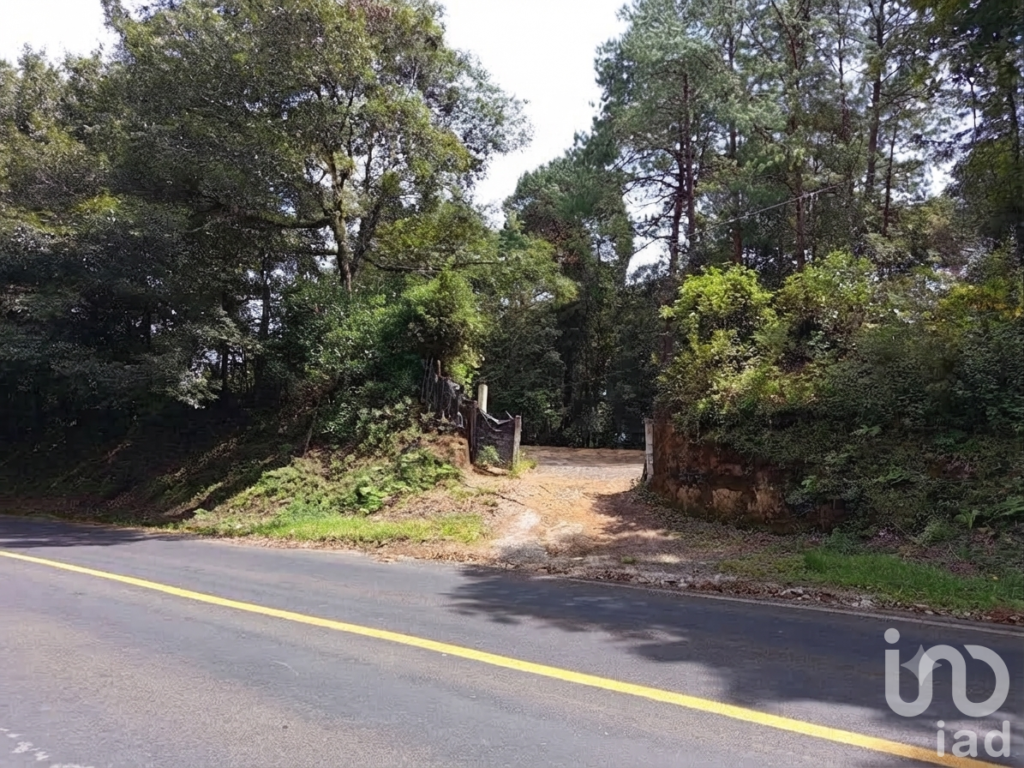Venta de Terreno a Orilla de la Carretera Federal México Tuxpan. Huauchinango Puebla.