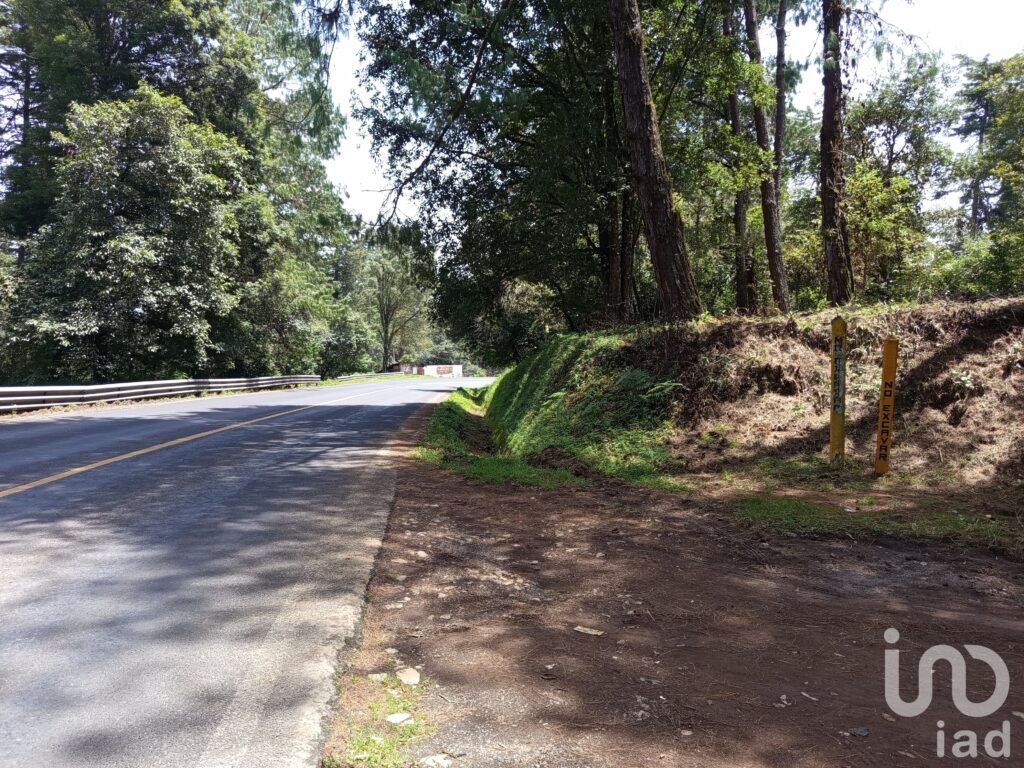 Venta de 2 Hectáreas en el Predio el Fresno en Huauchinango Puebla.
