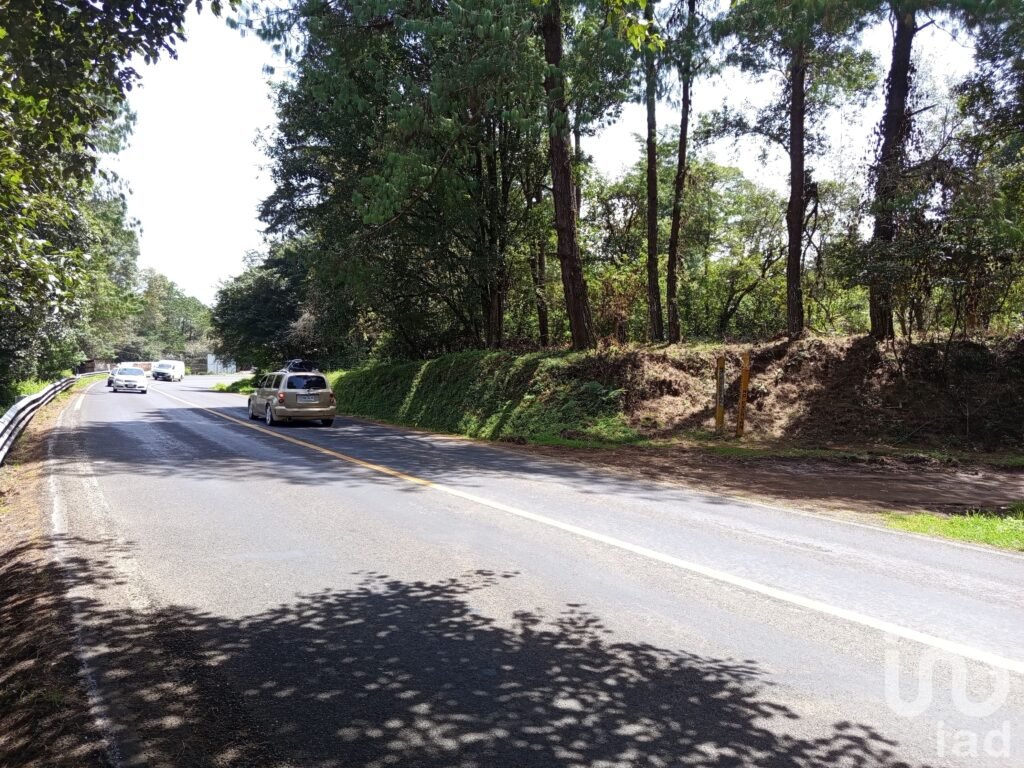 Venta de 2 Hectáreas en el Predio el Fresno en Huauchinango Puebla.