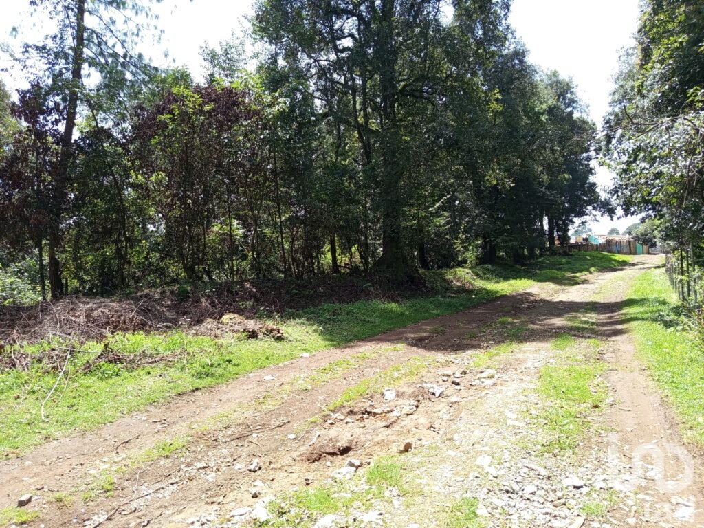Venta de 2 Hectáreas en el Predio el Fresno en Huauchinango Puebla.