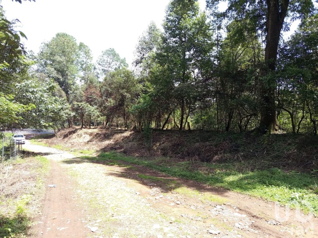 Venta de 2 Hectáreas en el Predio el Fresno en Huauchinango Puebla.