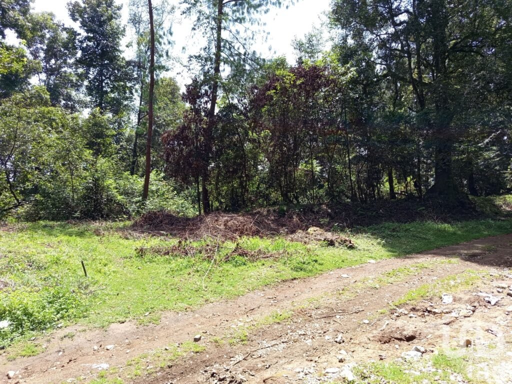 Venta de 2 Hectáreas en el Predio el Fresno en Huauchinango Puebla.