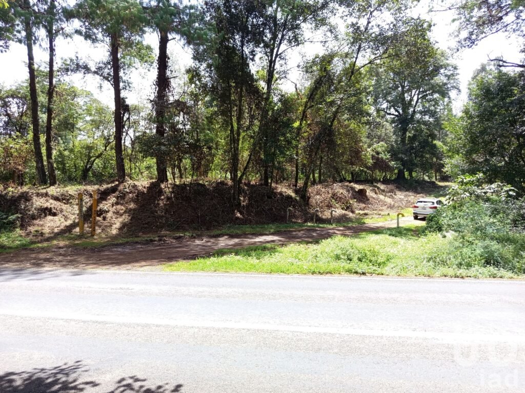 Venta de 2 Hectáreas en el Predio el Fresno en Huauchinango Puebla.