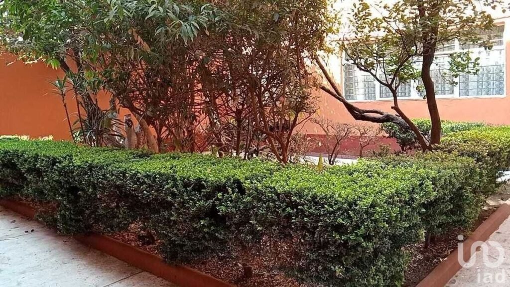 Departamento en venta calle Víctor Hugo,en  Col. Albert Benito Juárez
