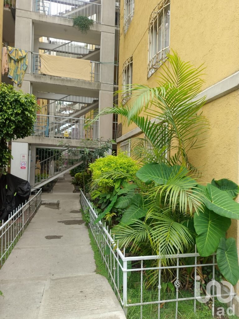 RENTA DE DEPARTAMENTO EN PLANTA BAJA FRENTE A ENCUENTRO OCEANIA
