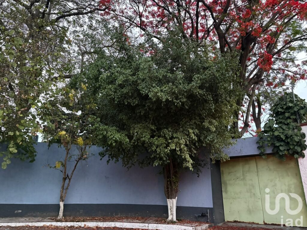 Venta Terreno 500 m2 Planos en privada en Lomas de Cuernavaca
