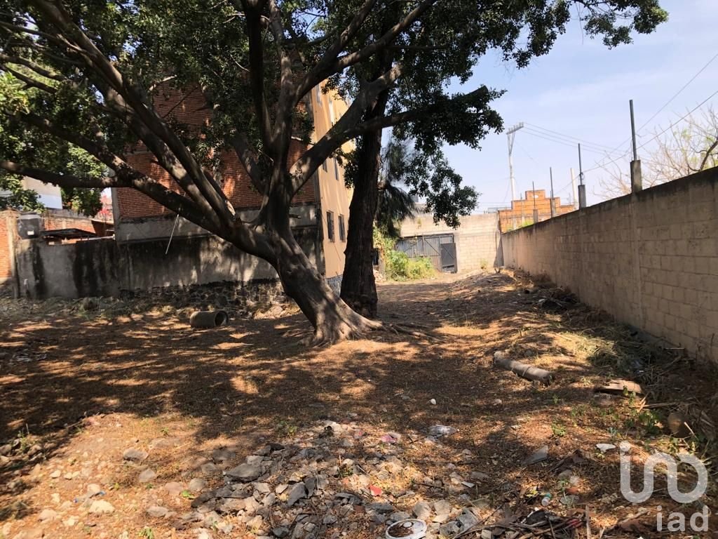 Venta Terreno Plano, 681m, Acapatzingo, Frente a los Cizos, Cuernavaca.