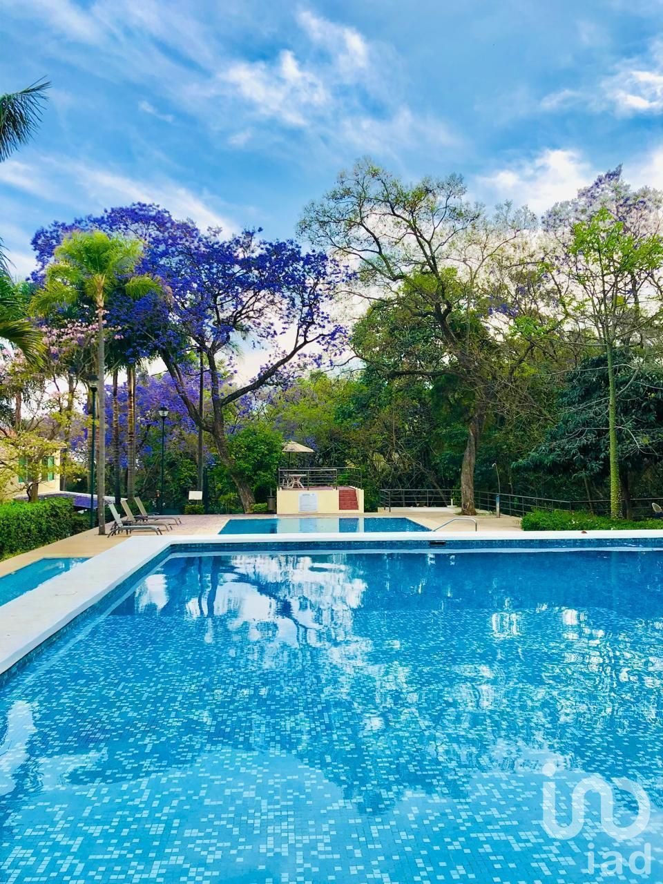 DEPARTAMENTO AMUEBLADO EN QUINTAS DEL BOSQUE EN RENTA (ZONA NORTE DE CUERNAVACA)…