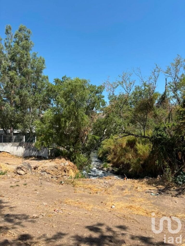 Terreno en Venta en Las Cañadas Bosques de San Isidro Sur | Uso de Suelo Mixto