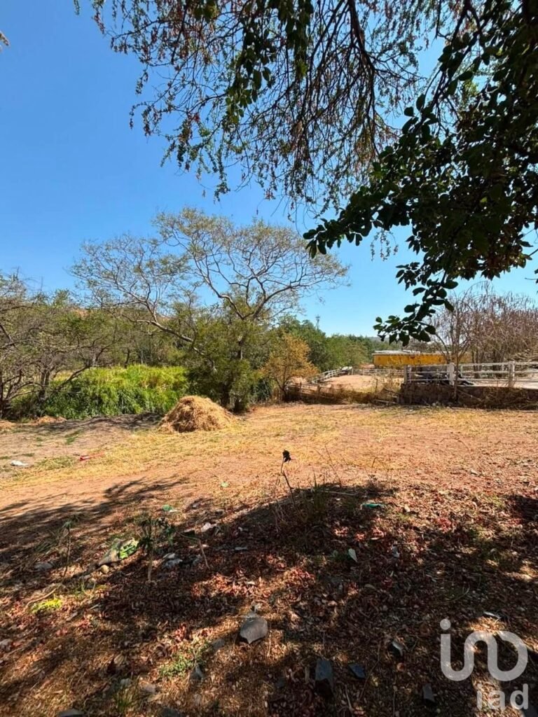 Terreno en Venta en Las Cañadas Bosques de San Isidro Sur | Uso de Suelo Mixto