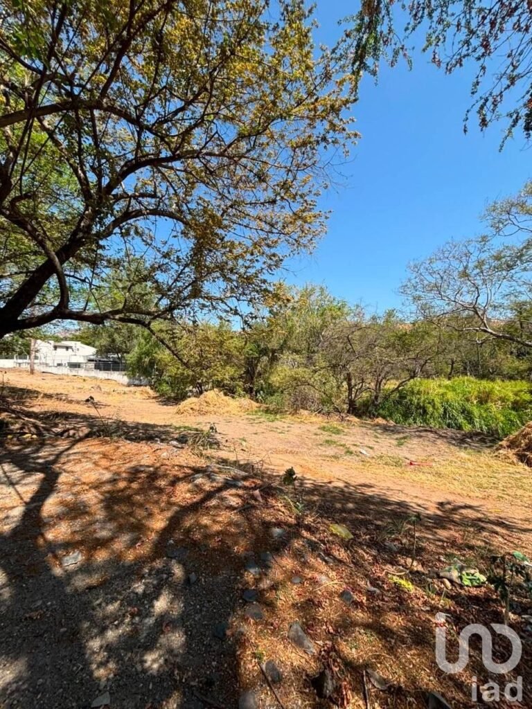 Terreno en Venta en Las Cañadas Bosques de San Isidro Sur | Uso de Suelo Mixto