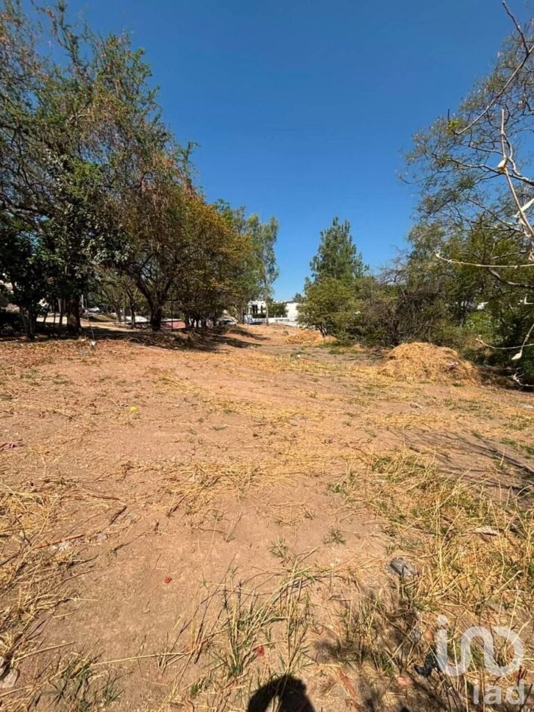 Terreno en Venta en Las Cañadas Bosques de San Isidro Sur | Uso de Suelo Mixto