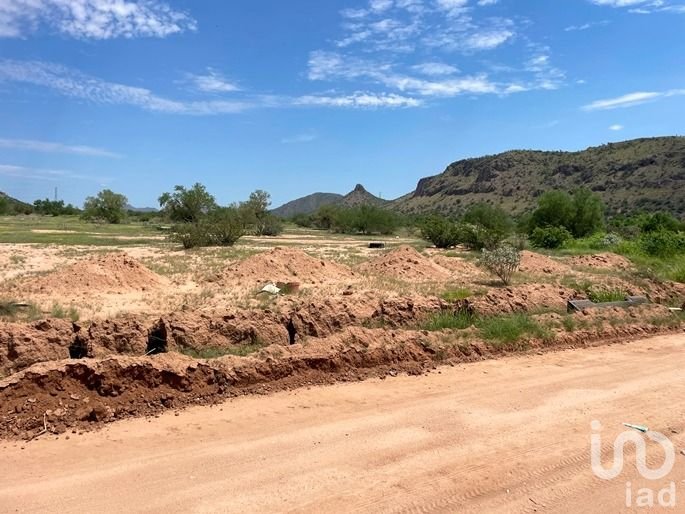 TERRENO EN VENTA COL. LAS CUEVAS EN HERMOSILLO, SON. OPORTUNIDAD PARA DESARROLLO HABITACIONAL TERRENO EN VENTA COL. LAS CUEVAS EN HERMOSILLO, SON. OPORTUNIDAD PARA DESARROLLO HABITACIONAL