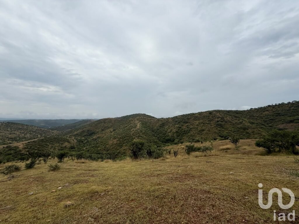 VENTA DE TERRENO DE OPORTUNIDAD EN ACATLÁN DE OSORIO, PUEBLA