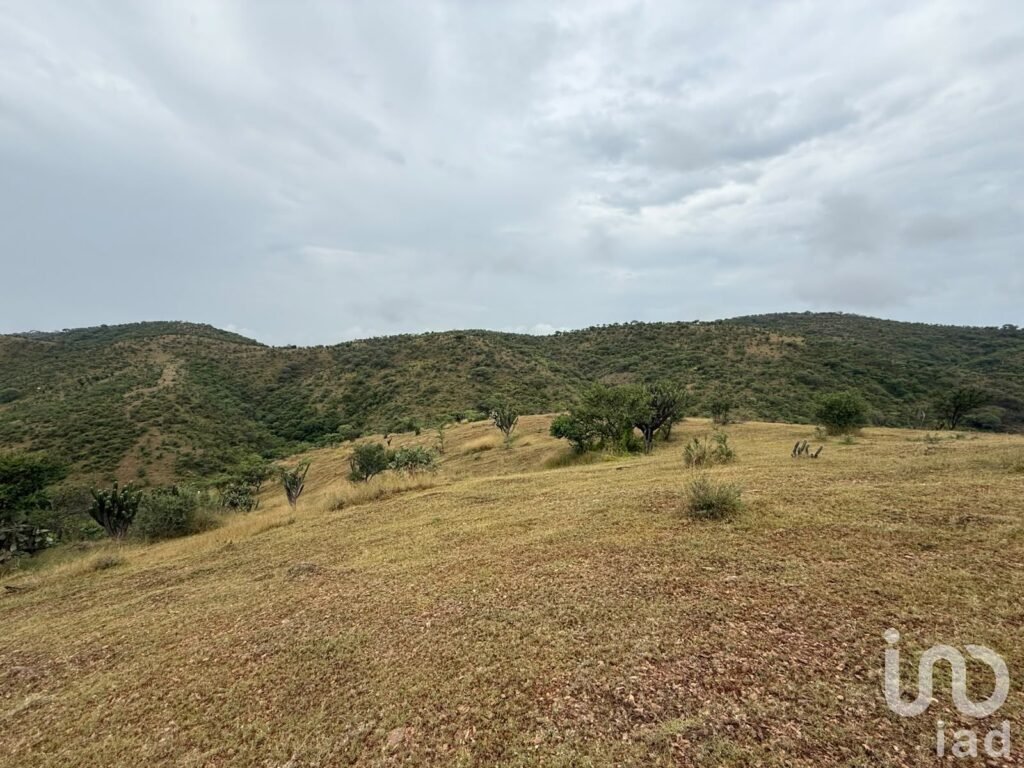 VENTA DE TERRENO DE OPORTUNIDAD EN ACATLÁN DE OSORIO, PUEBLA
