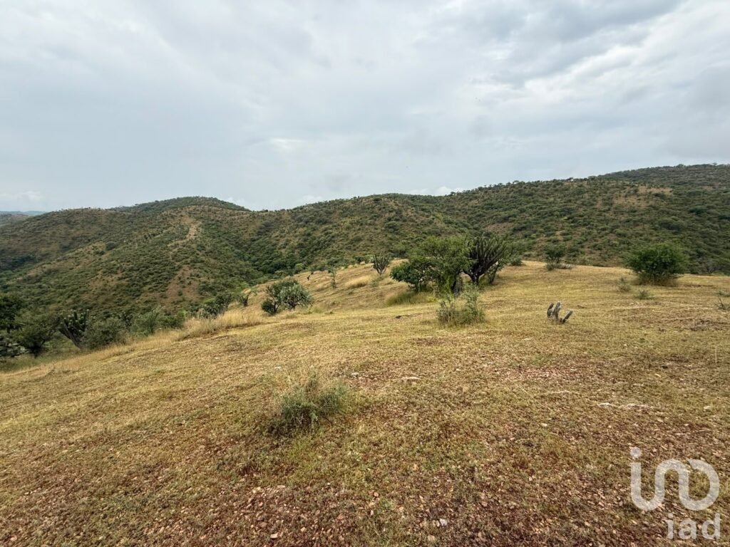 VENTA DE TERRENO DE OPORTUNIDAD EN ACATLÁN DE OSORIO, PUEBLA