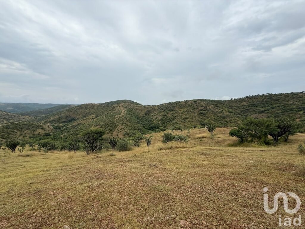 VENTA DE TERRENO DE OPORTUNIDAD EN ACATLÁN DE OSORIO, PUEBLA