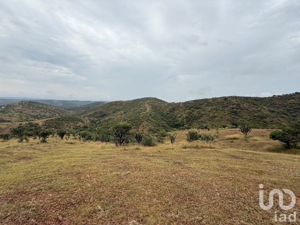 VENTA DE TERRENO DE OPORTUNIDAD EN ACATLÁN DE OSORIO, PUEBLA