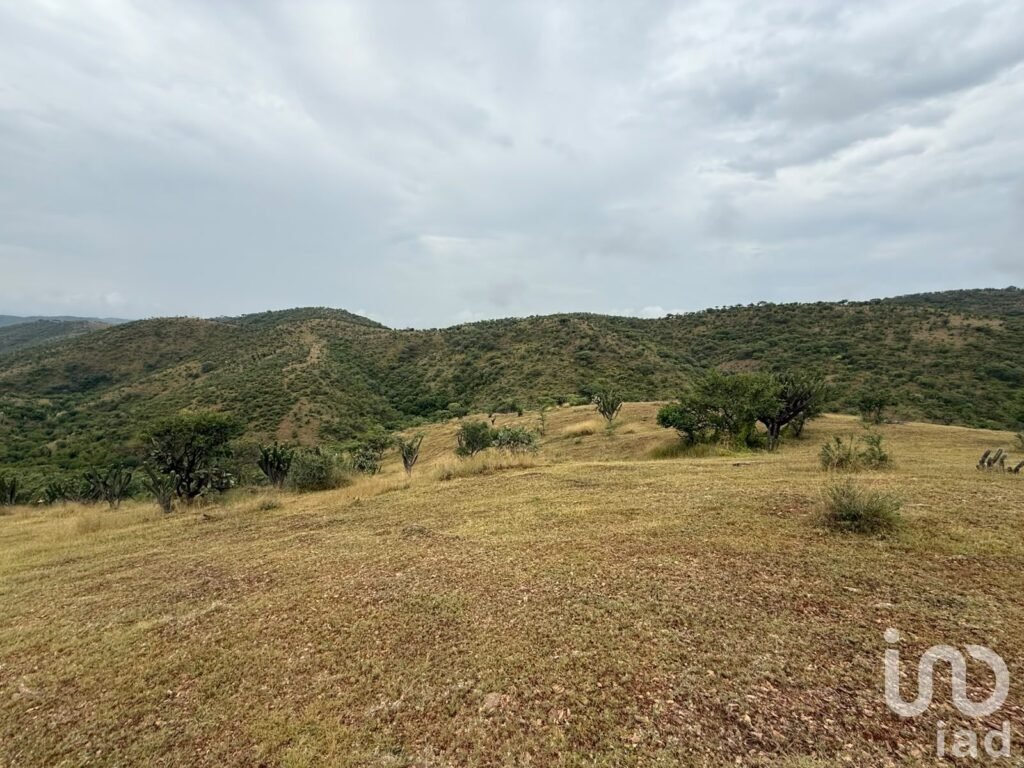 VENTA DE TERRENO DE OPORTUNIDAD EN ACATLÁN DE OSORIO, PUEBLA