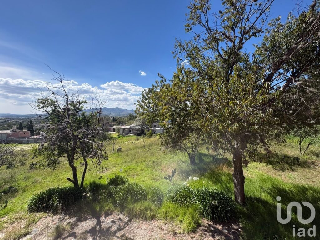 VENTA DE TERRENO EN ZEMPOALA CENTRO