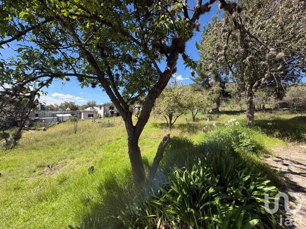 VENTA DE TERRENO EN ZEMPOALA CENTRO