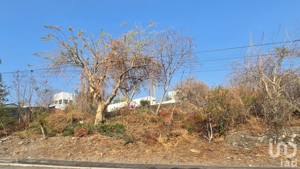 TERRENO EN VENTA EN SANTA FE, MORELOS XOCHITEPEC