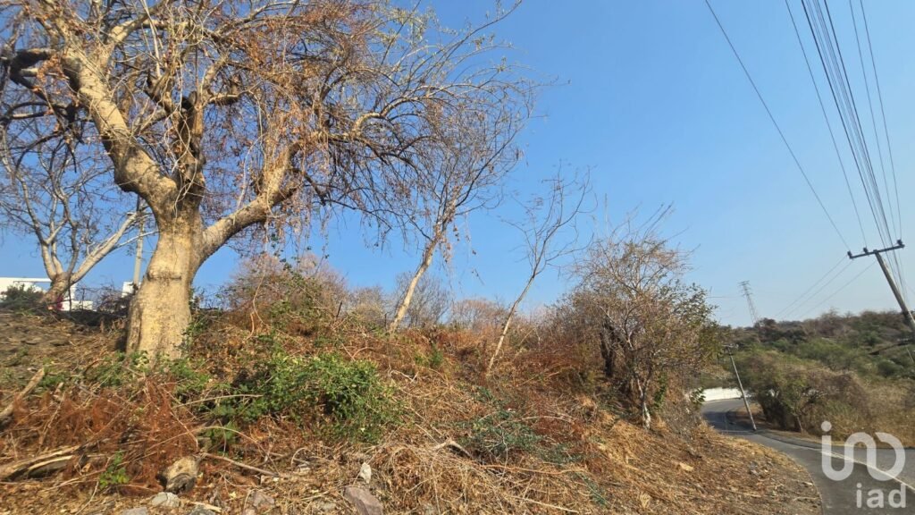TERRENO EN VENTA EN SANTA FE, MORELOS XOCHITEPEC