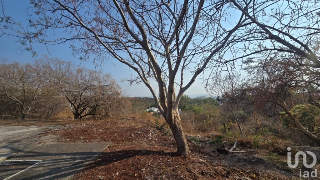 TERRENO EN VENTA EN SANTA FE, MORELOS XOCHITEPEC