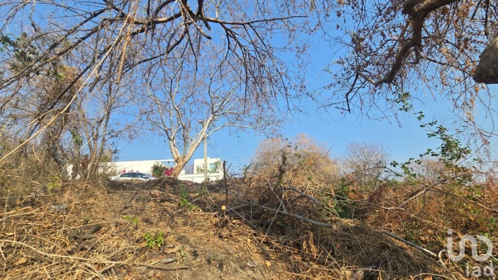 TERRENO EN VENTA EN SANTA FE, MORELOS XOCHITEPEC