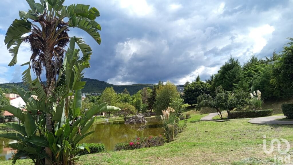 Departamento en Renta en Cañadas del Bosque, Tres Marías, Morelia
