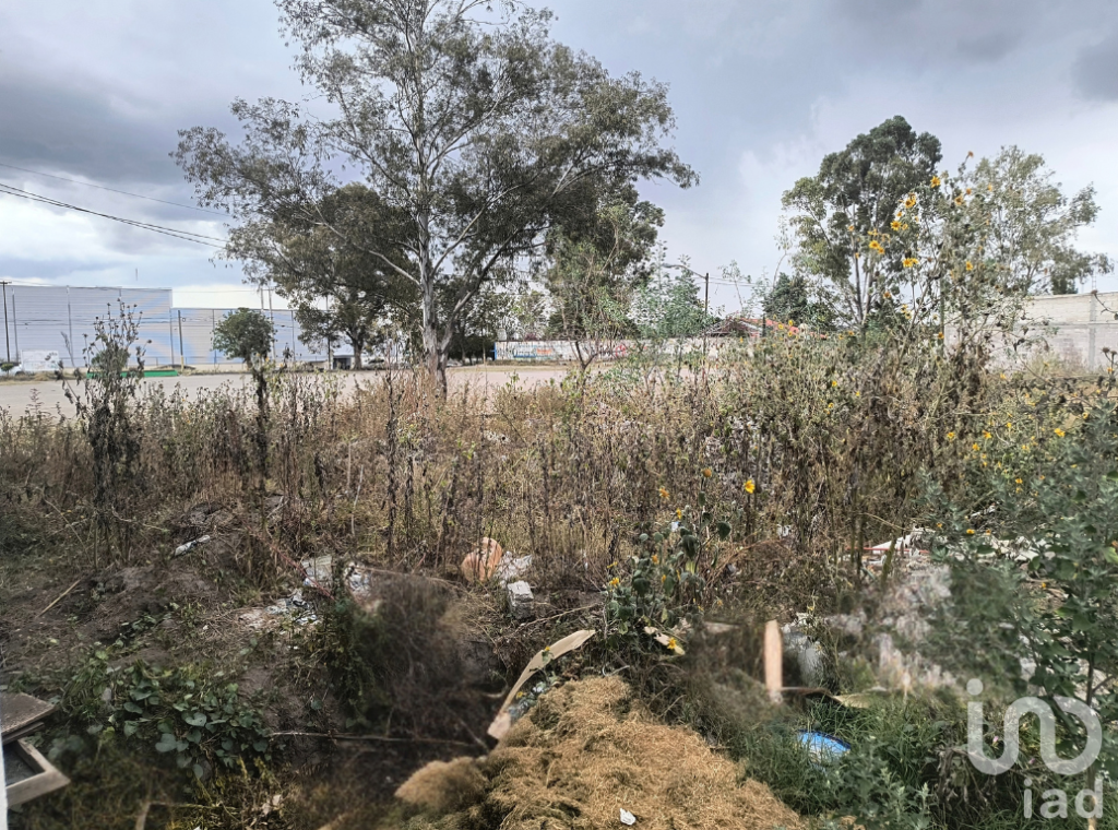 Terreno en VENTA | Santa Cruz de Arriba, Texcoco | 320 m² | Cerca de Gran Patio Texcoco