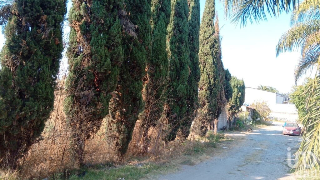 Terreno en Venta en San Antonio Cacalotepec Por NUBIA