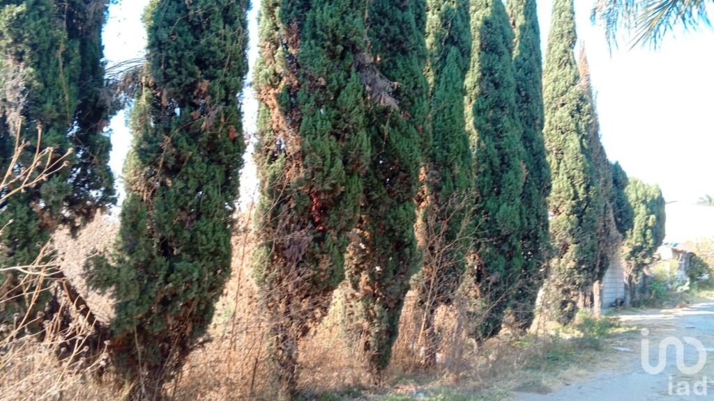 Terreno en Venta en San Antonio Cacalotepec Por NUBIA