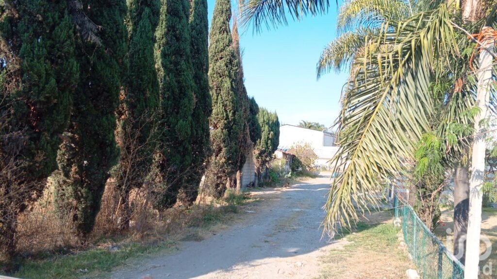 Terreno en Venta en San Antonio Cacalotepec Por NUBIA