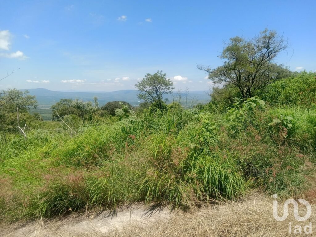 Terreno en venta Fraccionamiento Campestre en Los Cerritos, Tepatitlán, Jalisco.