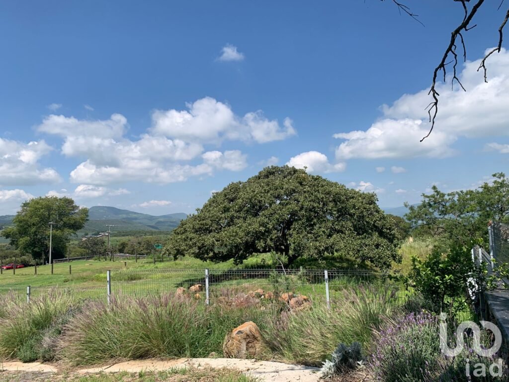 Terreno en venta Fraccionamiento Campestre en Los Cerritos, Tepatitlán, Jalisco.