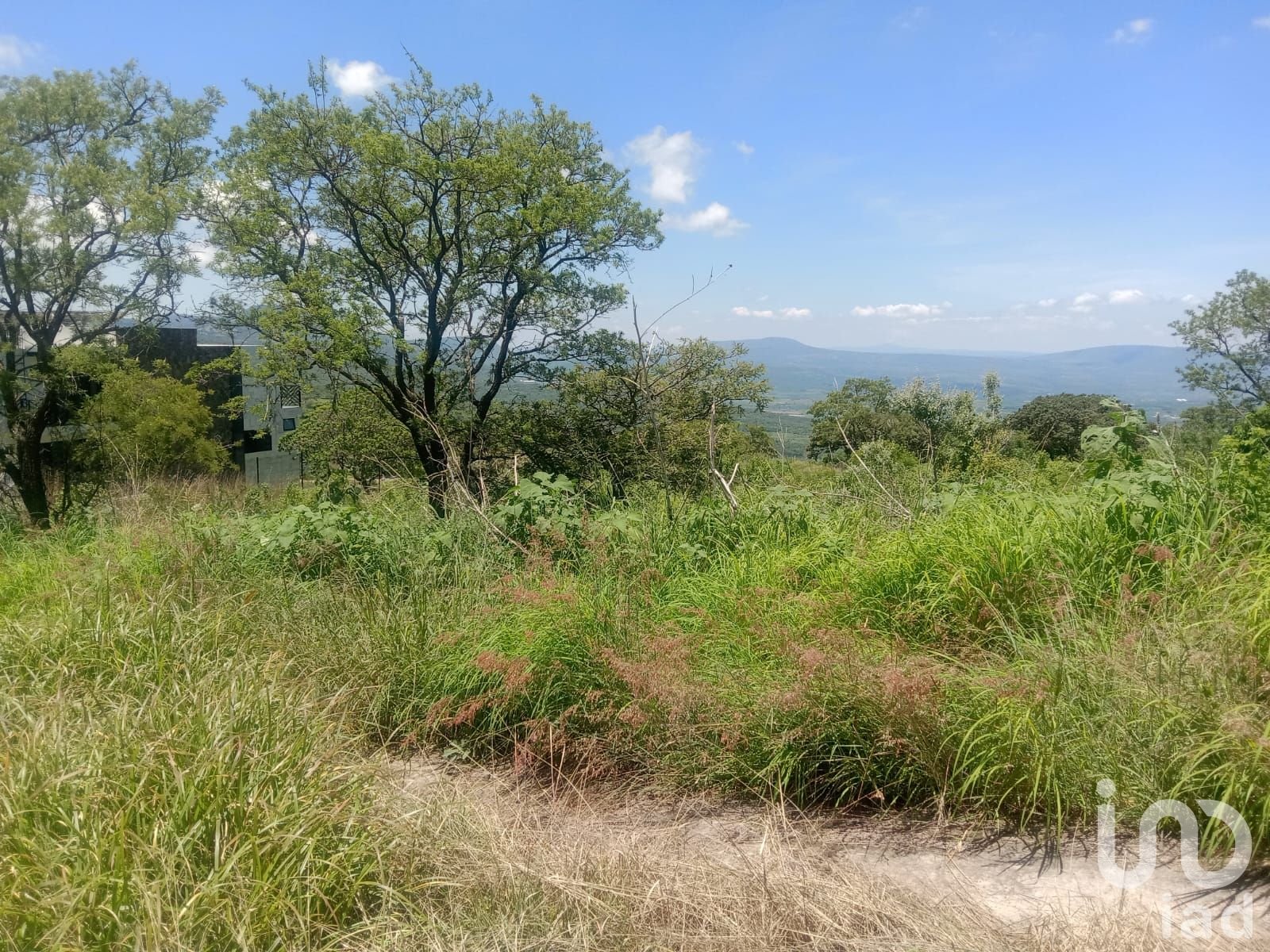 Terreno en venta Fraccionamiento Campestre en Los Cerritos, Tepatitlán, Jalisco.