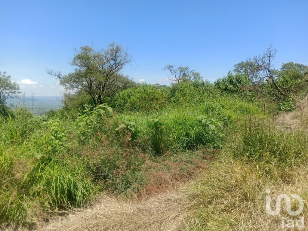 Terreno en venta Fraccionamiento Campestre en Los Cerritos, Tepatitlán, Jalisco