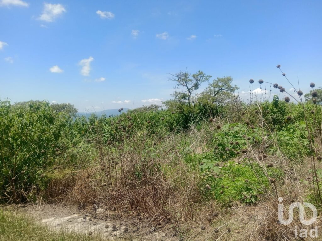 Terreno en venta Fraccionamiento Campestre en Los Cerritos, Tepatitlán, Jalisco